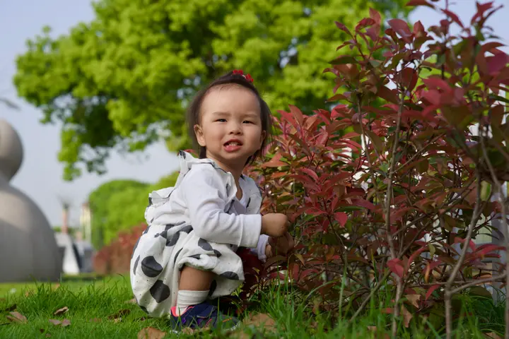 家庭照片 54
